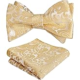 Alizeal Mens 2pcs Paisley Jacquard Self-Tie Bow Tie Pocket Square Set