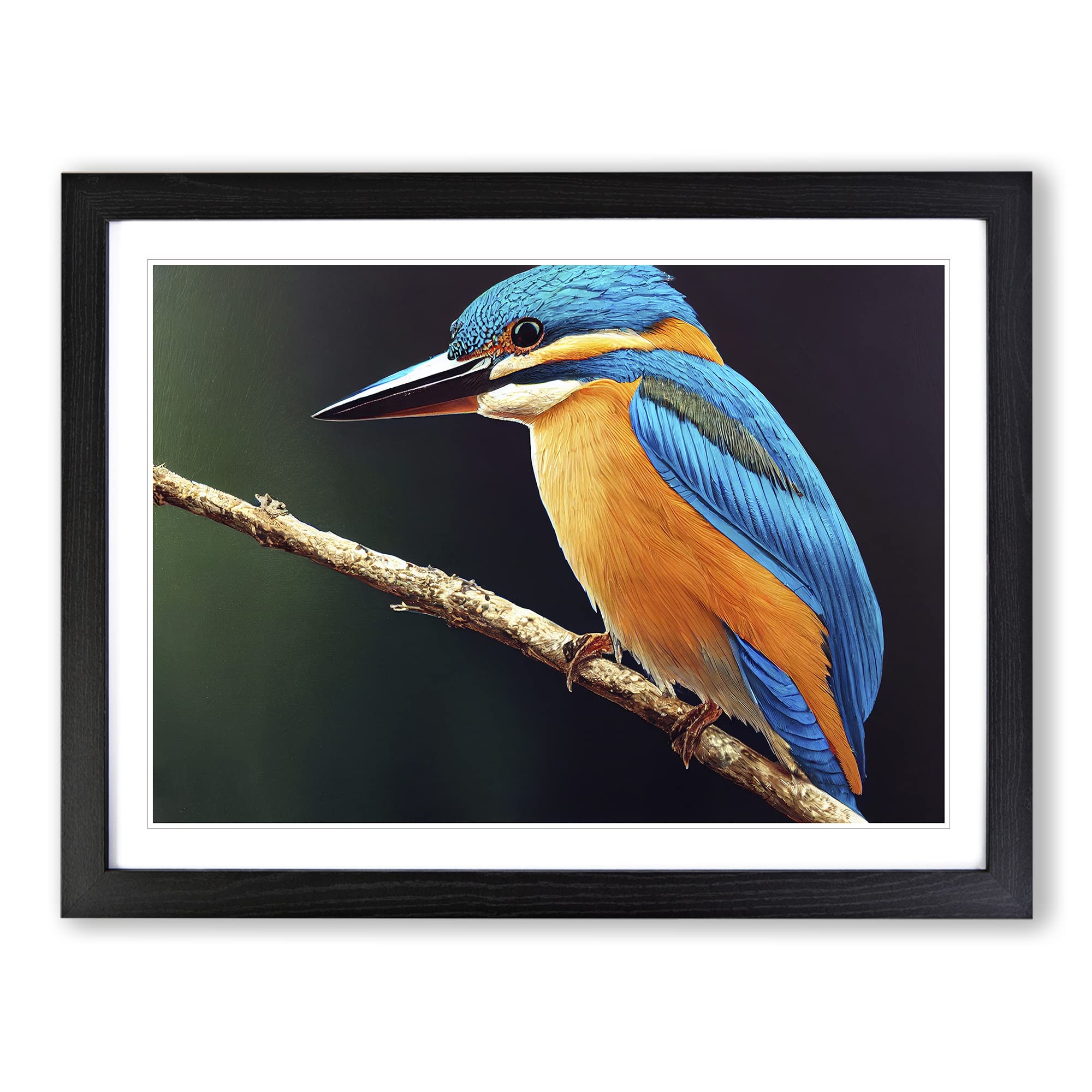 Staggering Kingfisher Bird Framed Print | A4 Black Framed Wall Art | Ready to Hang | Modern Nature Picture | Living Room Bedroom Lounge Office