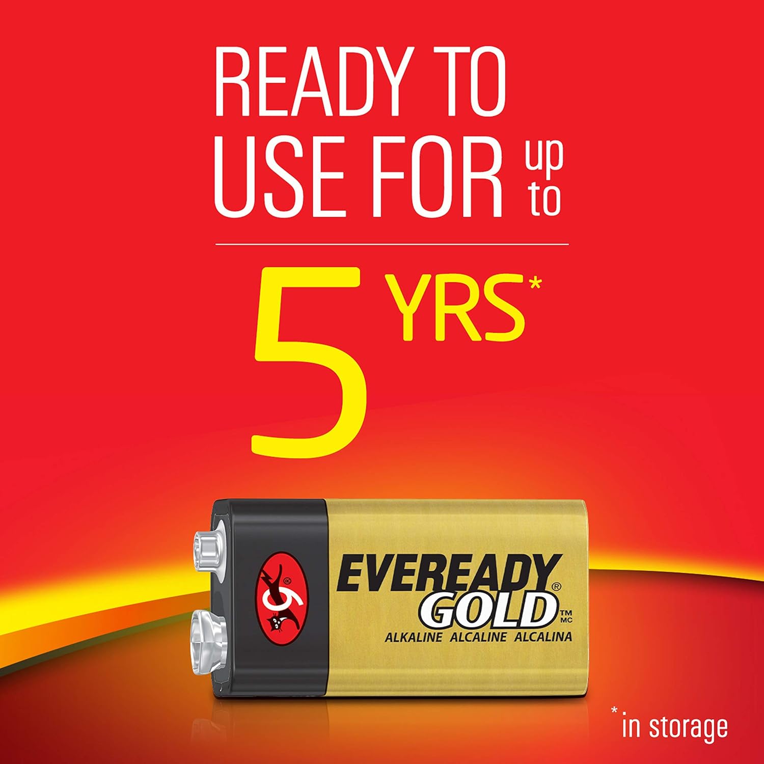 EVEREADY 9V Battery, 9 Volt Alkaline (1 Count): Health & Personal Care