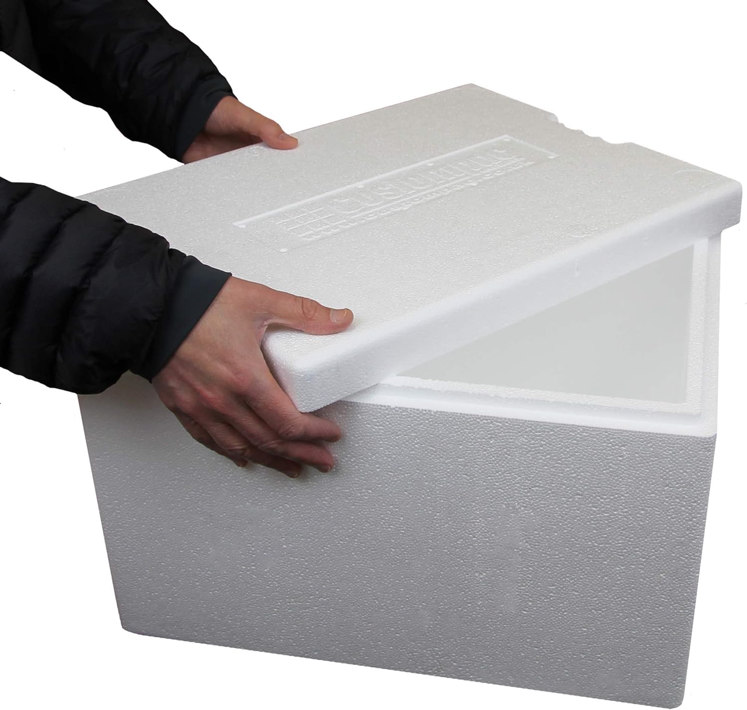 34 litros de poliestireno caja - Box Prints - Caja de peces - 42 unidades: Amazon.es: Hogar