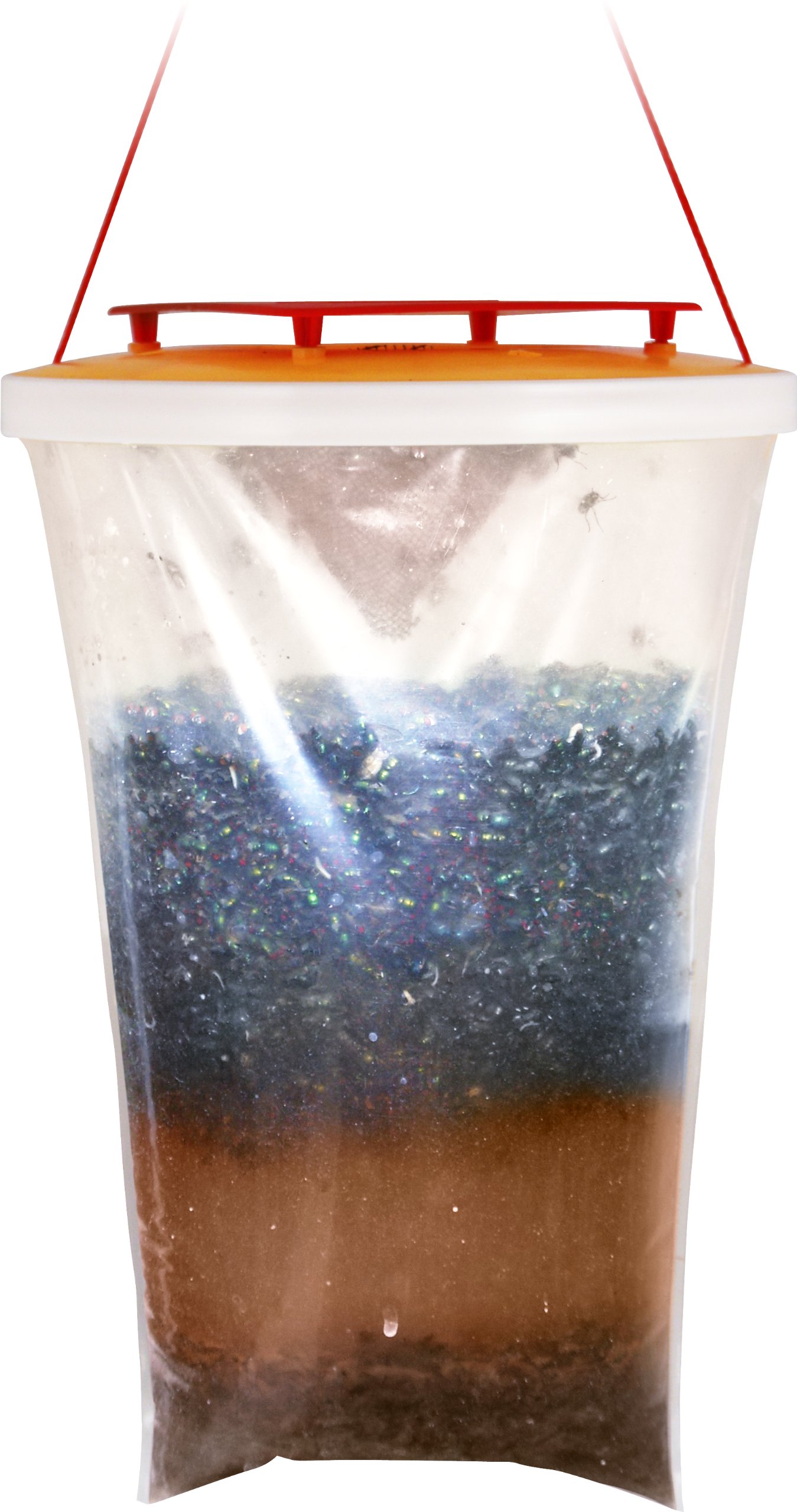 Redtop Fly Traps Original Redtop Fly Trap (Single Trap), Transparent