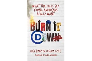 Burn It Down: What the Polls Say Young Americans Really Want