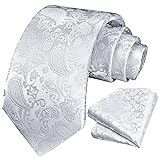 HISDERN White Mens Tie Paisley Floral Ties for Men