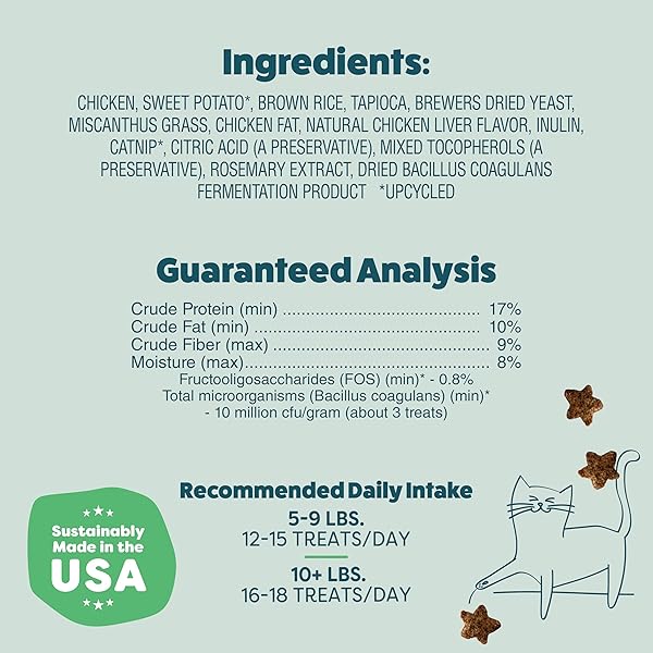 SHAMELESS PETS CRUNCHY CAT TREATS – CATNIP TREATS FOR CATS WITH DIGESTIVE SUPPORT, NATURAL INGREDIENTS KITTEN TREATS WITH REAL CHICKEN, HEALTHY FLAVORED FELINE SNACKS – CATNIP N CHILL, 3-PK