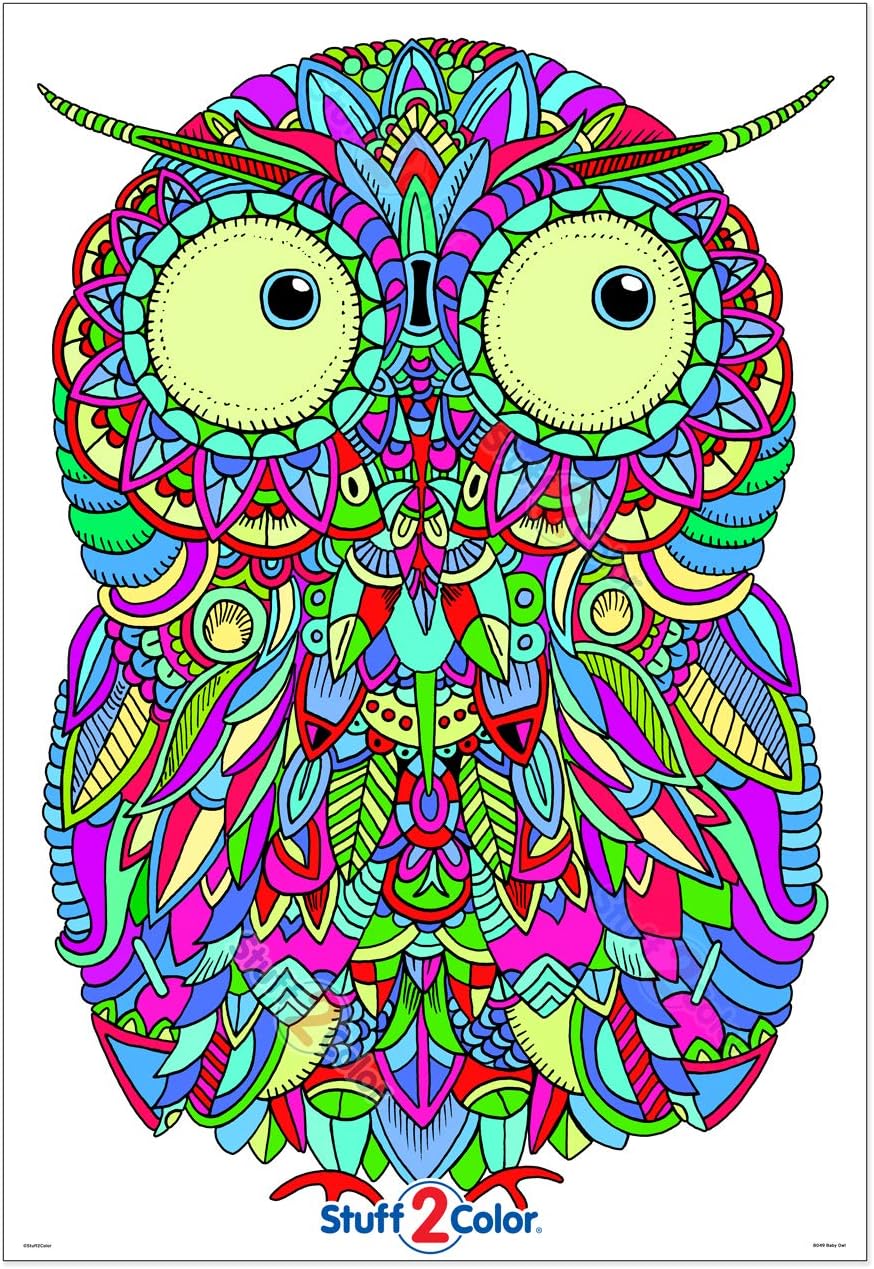 Stuff2Color Baby Owl - Giant Coloring Poster - 32.5" X 22" (Great for Family Time, Adults, Kids, Classrooms, Care Facilities and Group Activities - Includes Reusable Rigid Storage Tube)