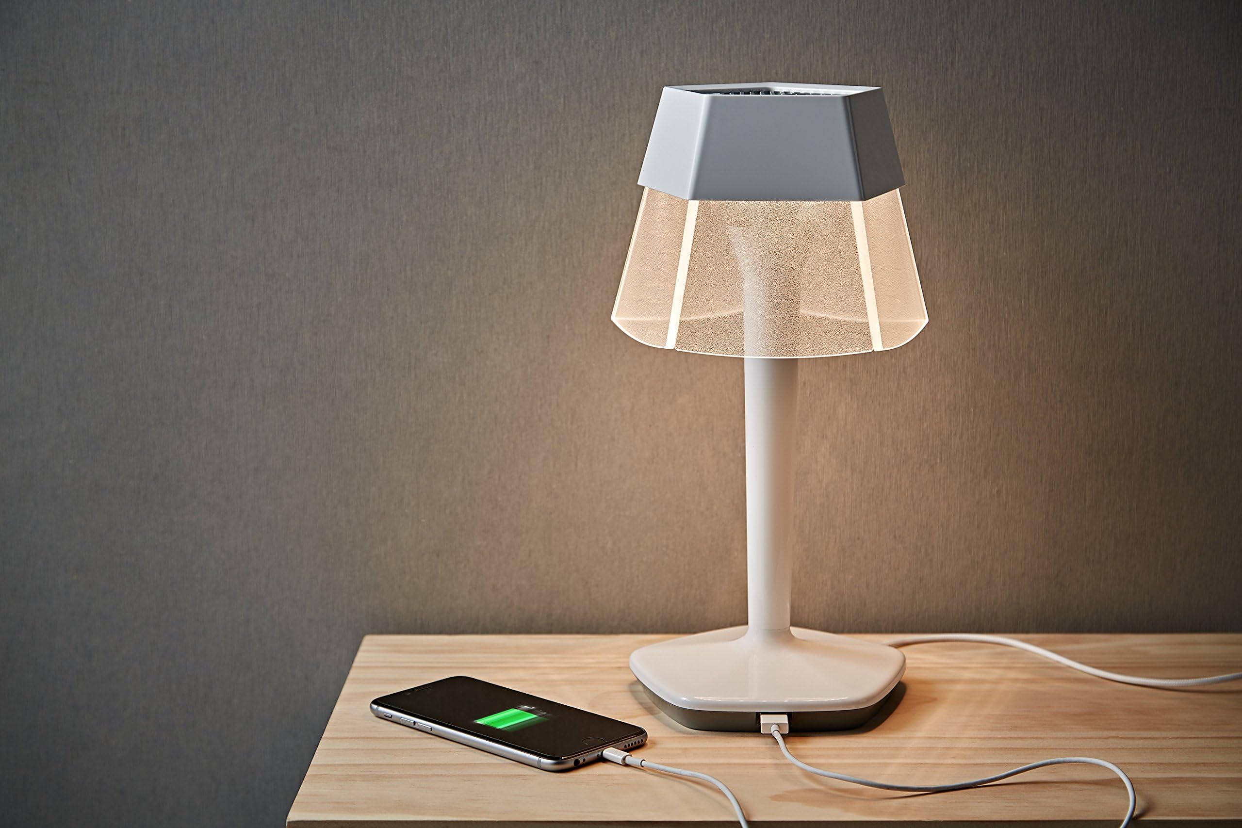 XcellentDesign Ludia Modern Dimmable LED Table Lamp with USB charging port, 2700K Extra Soft Daylight, Full Range Dimmer