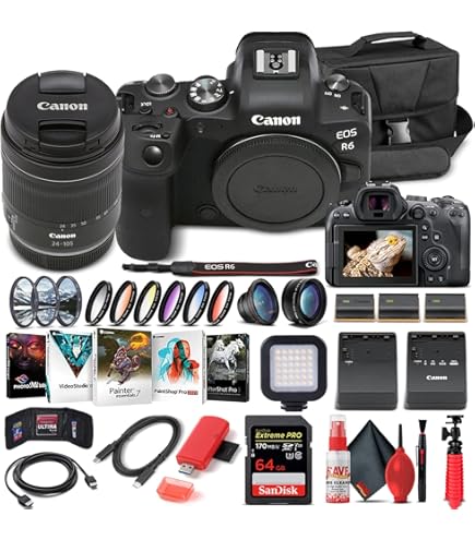 Amazon.com : Canon EOS R6 Mirrorless Digital Camera (Body Only