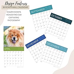 July 2025- December 2026 Wall Calendar 18 Month