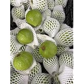 Fresh Thai Guava Fruits 10 lbs