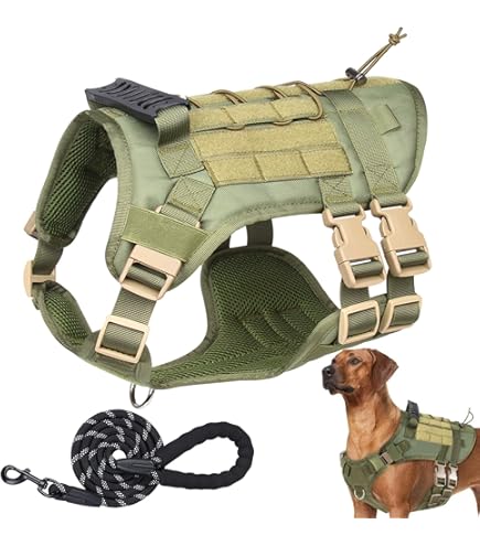 Insignia De Identificación Personalizada Con Nombre De Perro