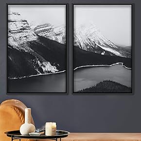 signwin 2 Piece Framed Canvas Wall Art Black...