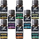 ArtNaturals Aromatherapy Top 8 Essential Oils, 100% Pure of The Highest Quality, Peppermint/Tee Tree/Rosemary/Orange/Lemongrass/Lavender/Eucalyptus/Frankincense, Therapeutic Grade