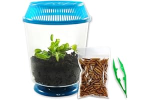 Nature Gift Store Venus Fly Trap + Carnivorous Plant Food Bundle in 4" Terrarium: Live Carnivorous Plants Kit Flytrap Assorted Colored Lids