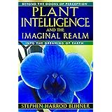 Plant Intelligence and the Imaginal Realm: Beyond the Doors of Perception into the Dreaming of Earth