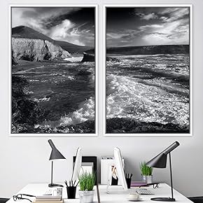 signwin 2 Piece Framed Canvas Wall Art Black...