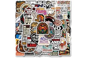 55PCS No one is Illegal on Stolen Land Stickers Aesthetics Scrapbook Sticker Waterproof Vinyl for Laptop, Water Bottle, Skate