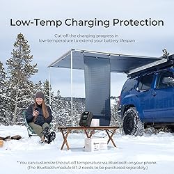 Renogy Charge Controller-Rover 40A MPPT 12V/24V
