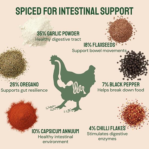 HATORTEMPT 10LB SPICED MEALWORMS FOR CHICKENS WITH DIGESTIVE MIX
