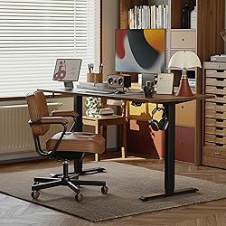 Agilestic Electric Standing Desk, 48 x 24 Inches