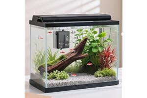 Pawfly 20W Mini Aquarium Heater with Thermostat, Submersible Heater for 1.5-3 Gallon Fish Tanks, Betta Tank Heater for Small 