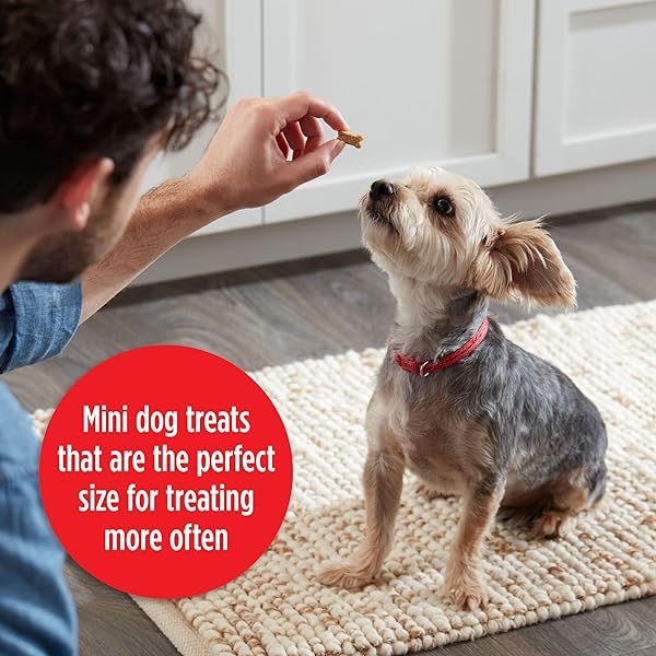MILK-BONE SOFT & CHEWY MINI’S DOG TREATS, MADE WITH REAL CHICKEN, 18 OUNCE CANISTER