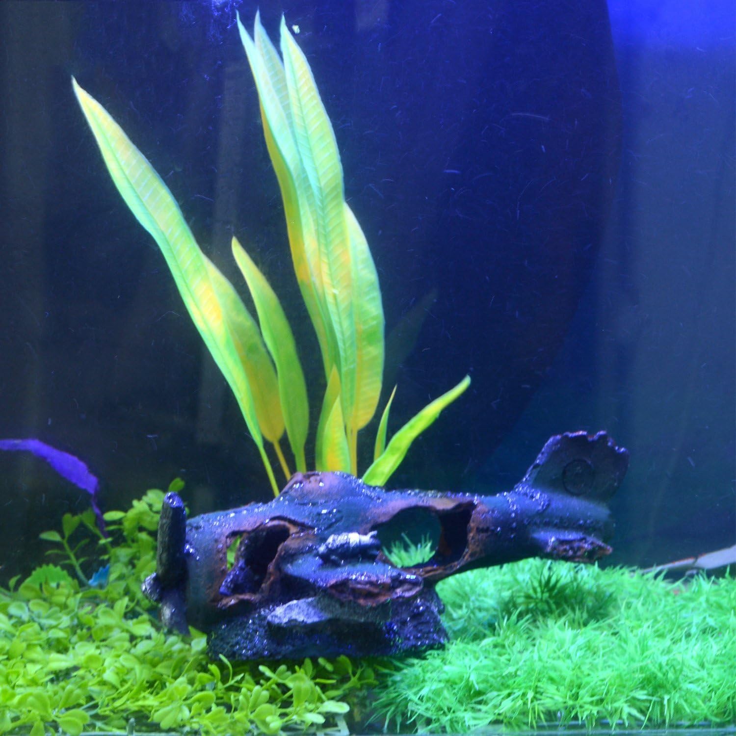 sunken plane aquarium decoration