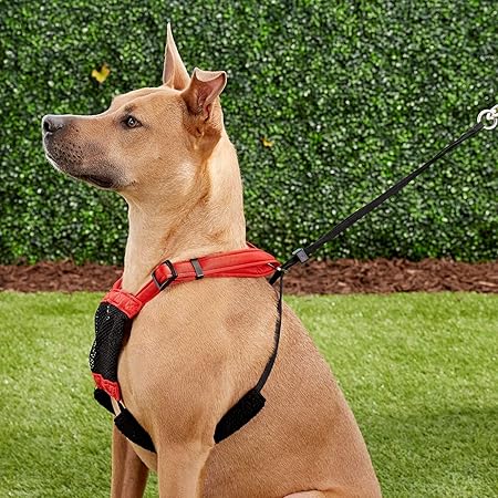 dog pulling harness amazon