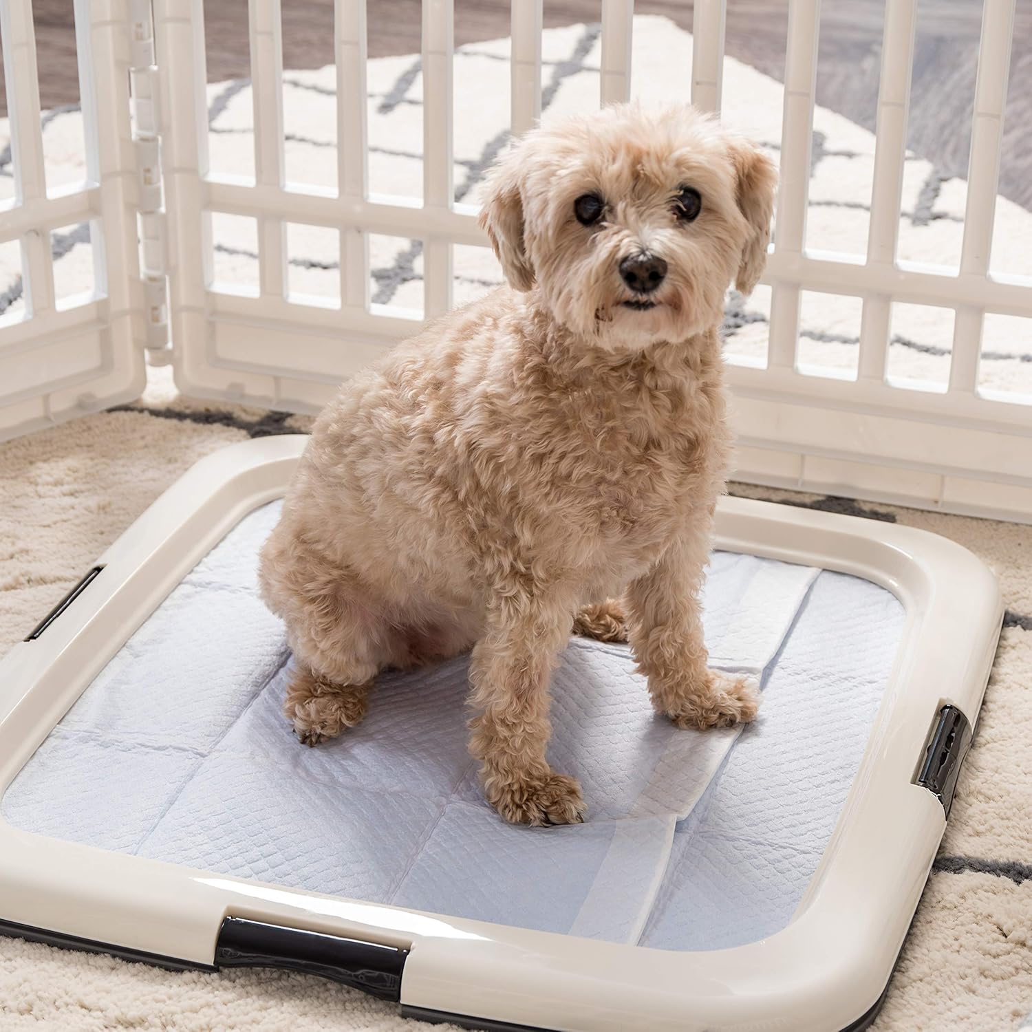 IRIS'-Sq Square Pet Training Pad Holder, Dark Gray : Pet Supplies