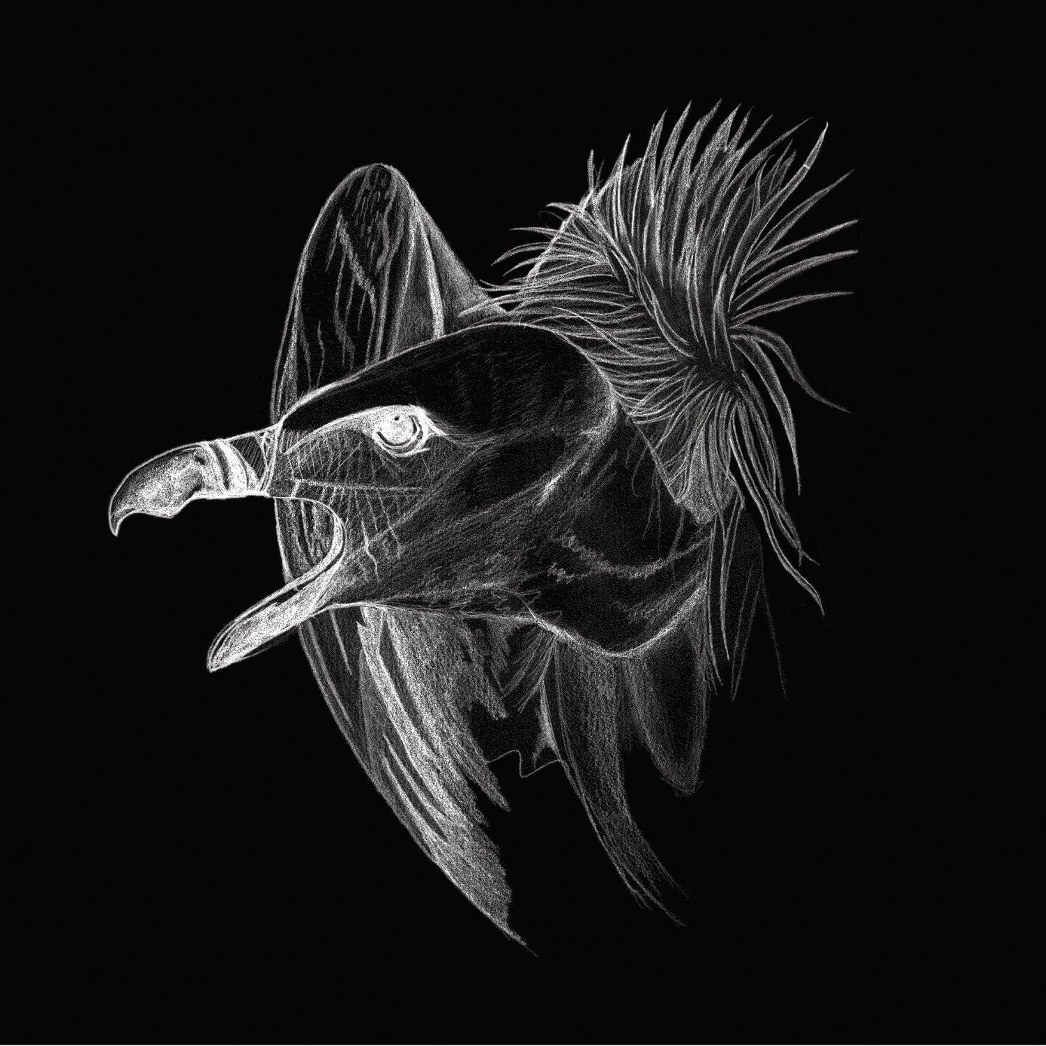 Migration