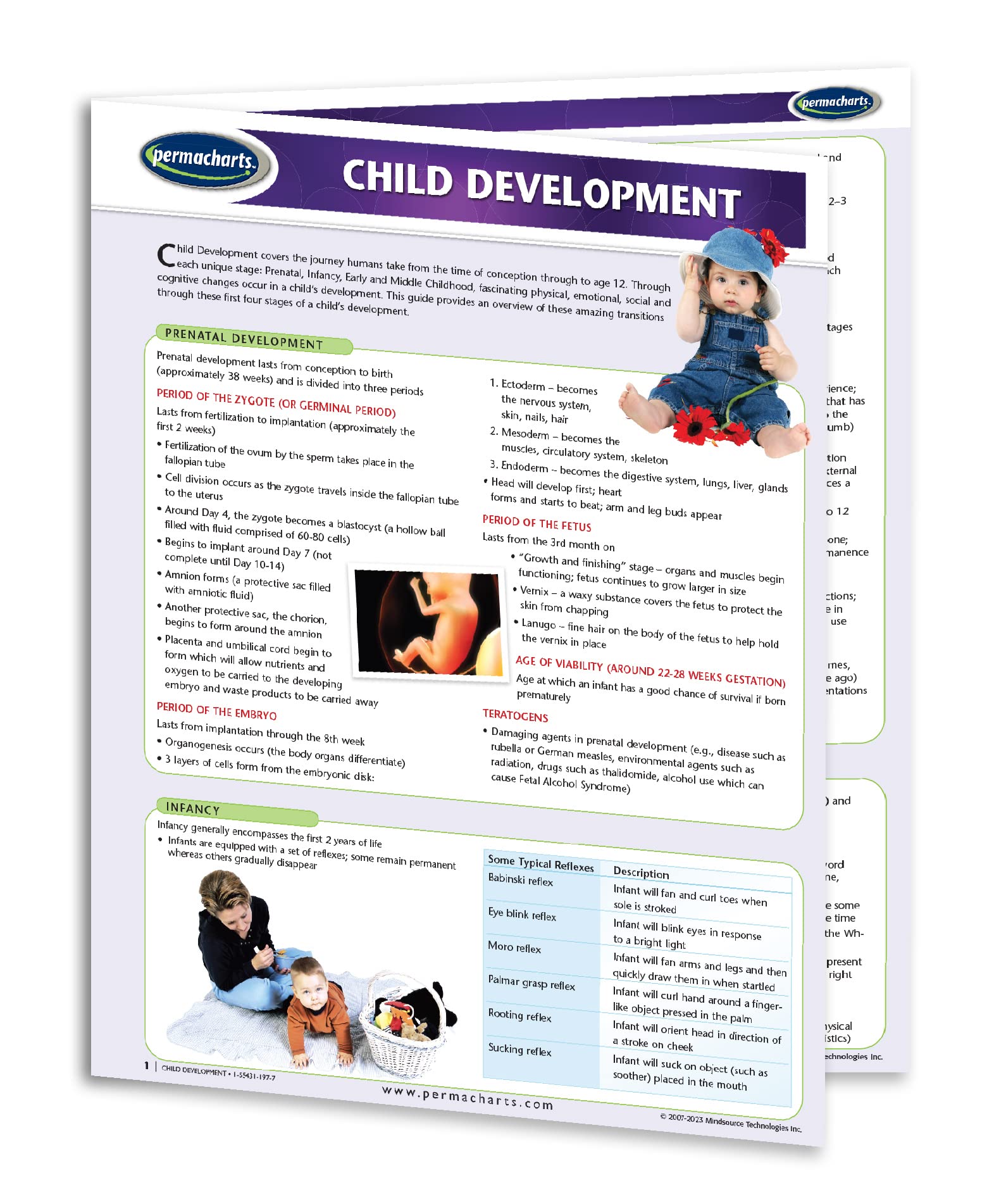 First Aid Kit Home First Aid Quick Reference Guide - 4 Page Laminated ...