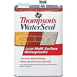 Thompson’s WaterSeal Multi-Surface Waterproofer Stain, Clear, 1 Gallon