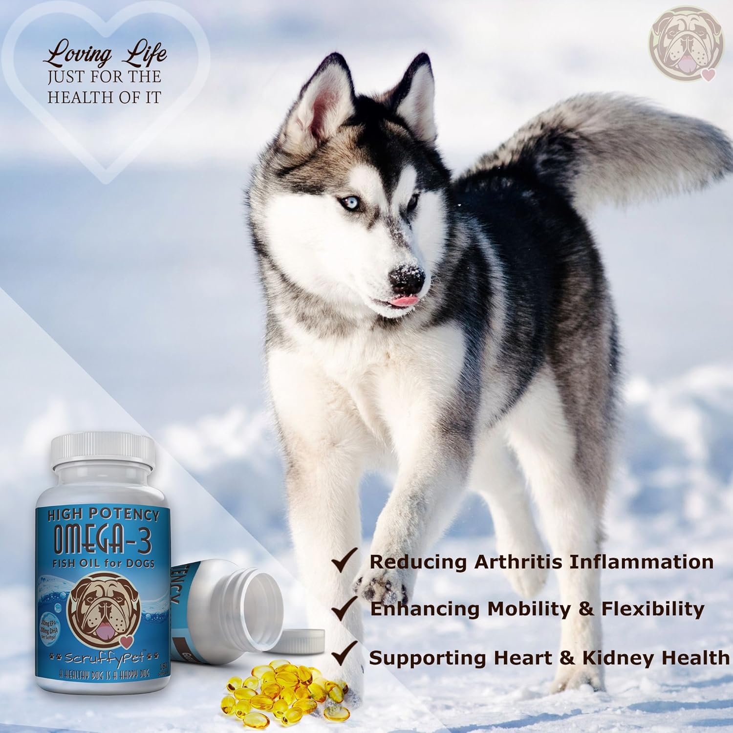 fish oil and vitamin e for dogs