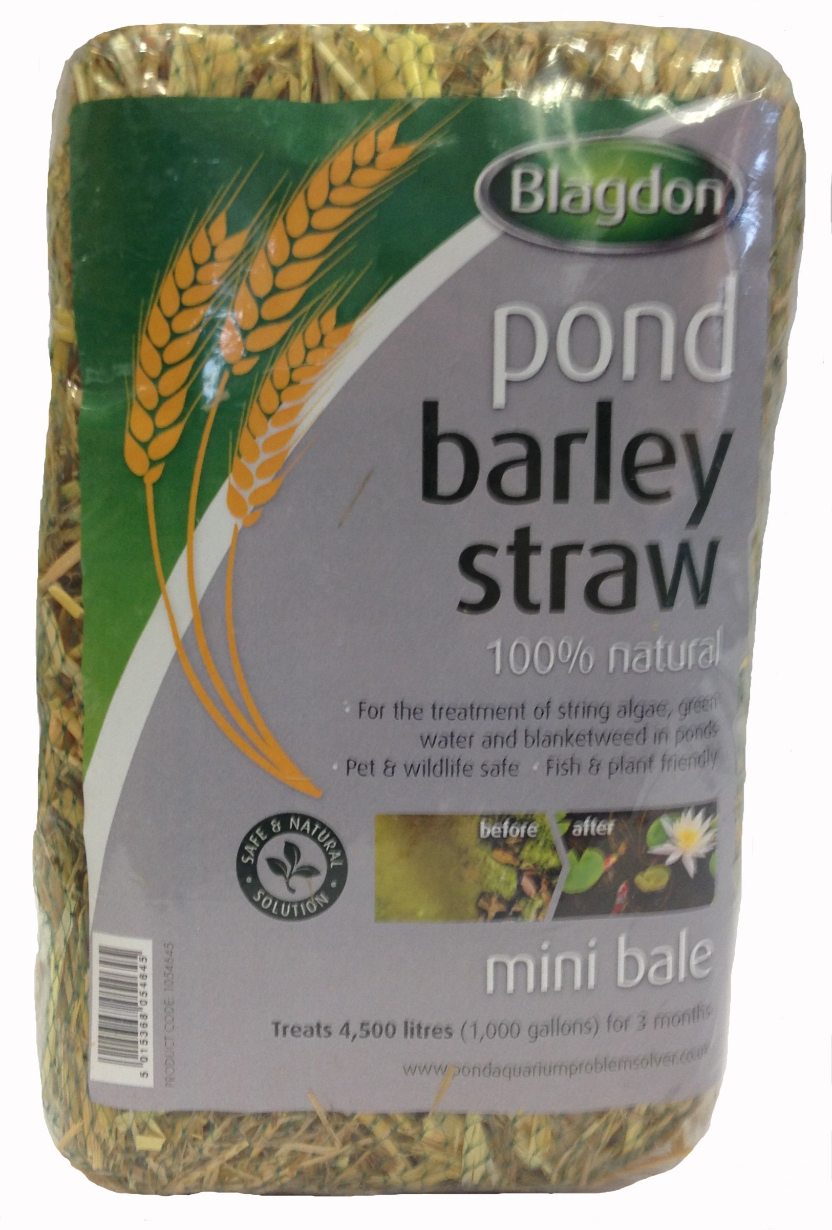 Blagdon Pond Barley Straw Bale, Small, Clears Algae, Green Water and Blanketweed, Natural, for Ponds up to 4,500 Litres