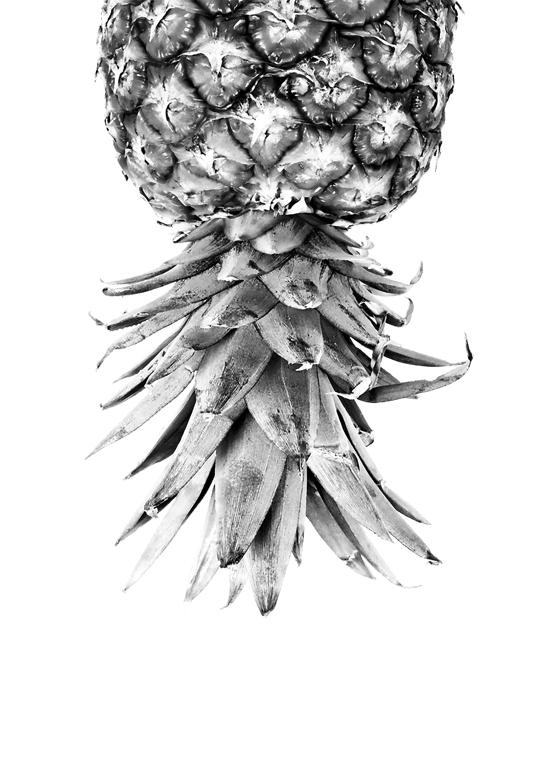 Print Wall Art Posters Printable Pineapple, Black and White Pineapples, Pineapple Designs, Cool Prints, Minimalist Poster, Fruit Printable Art (A2 (Print Only)) (A4 (Print Only))