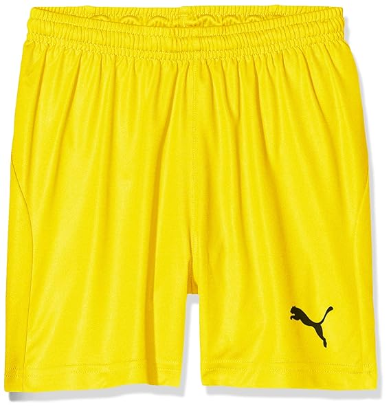 Puma Kinder Liga Shorts Core W Brief Jr Hose