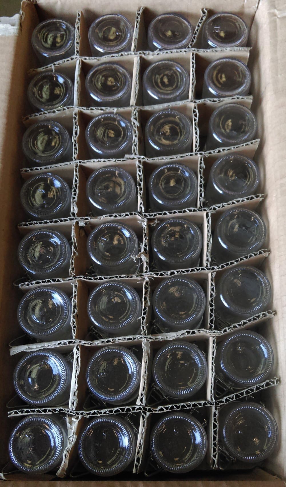Eckopack Small Storage Glasses | Glass Storage Jar 50 ml x 50 pcs Spice Jar Dessert Glass Swing Top Glass Rubber Seal