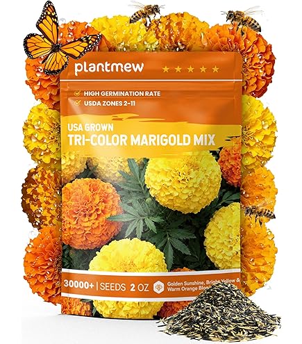 Amazon.com : French Marigold Sparky Mix Seeds, Over 5,000 Seeds by Seeds2Go  : Patio, Lawn & Garden