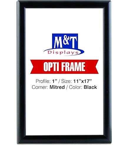 Amazon.com - M&T Displays Opti Snap Poster Frame 8.5x11 Inch Black