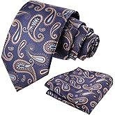 Alizeal Mens Colorful Paisley Necktie and Pocket Square Sets