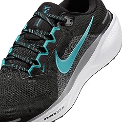 Nike Pegasus 41 Men's Road Running Shoes