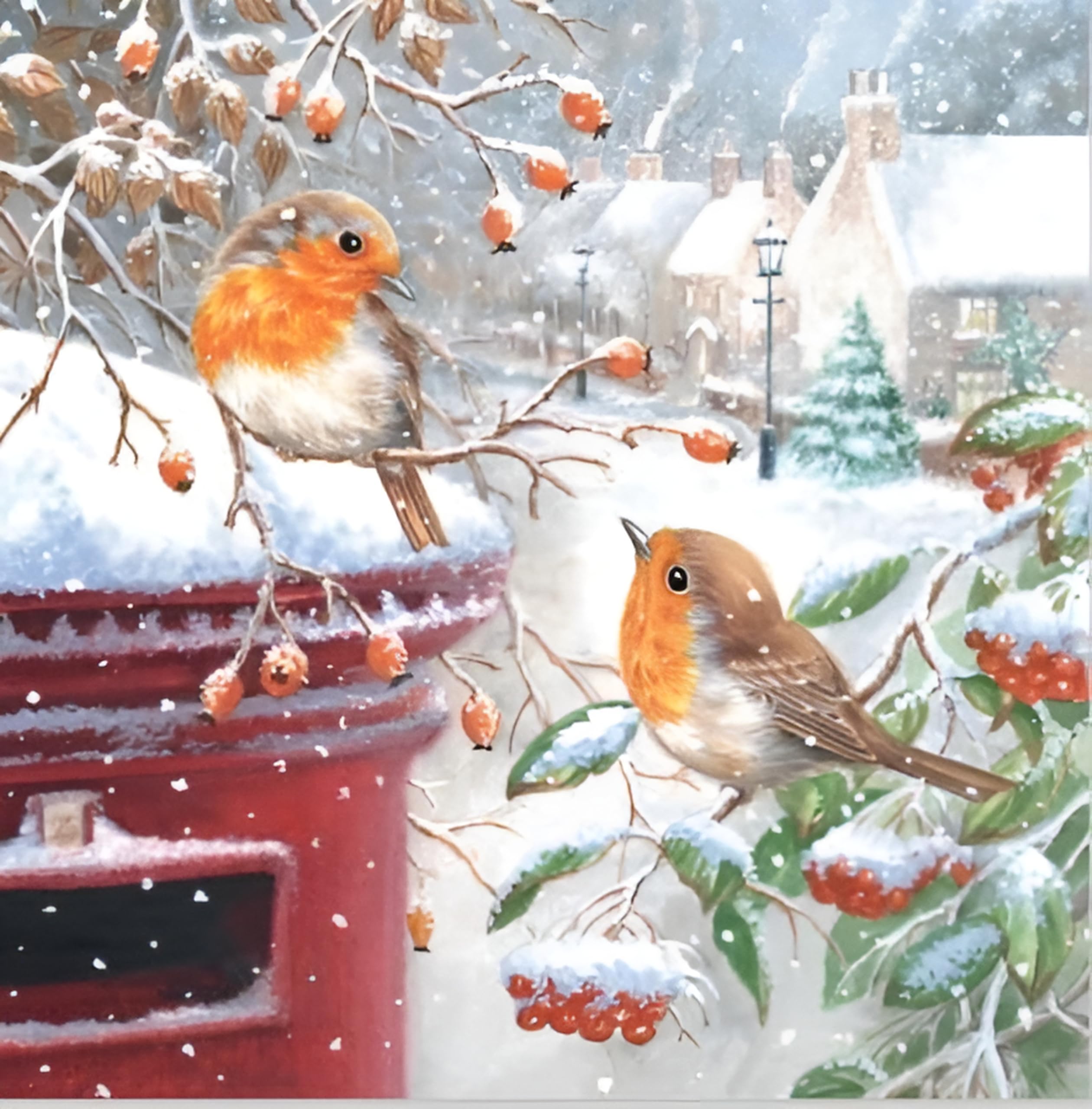 Noel Tatt Charity Christmas Cards Pack of 10 - Charity Christmas Cards with Robins and Snowy Post Box Design - Eco-Friendly Xmas Cards Multipack with Envelopes