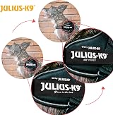 Julius-K9 IDC Powerharness L/1 Green Blue Limited Edition view 4