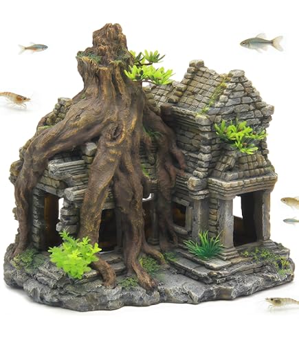 Amazon.com: imagitarium by Petco Resin Cambodian Ruin Aquatic