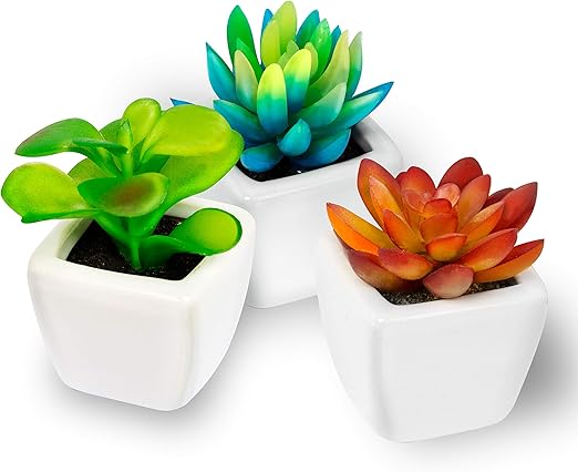 Amazon Com Fake Plants Set Of 3 Succulents Plants Artificial In Small White Mini Ceramic Planters Potted Decor Plants For Home Office Bathroom Bedroom Desk Bookshelf Realistic Faux Plastic Greenery