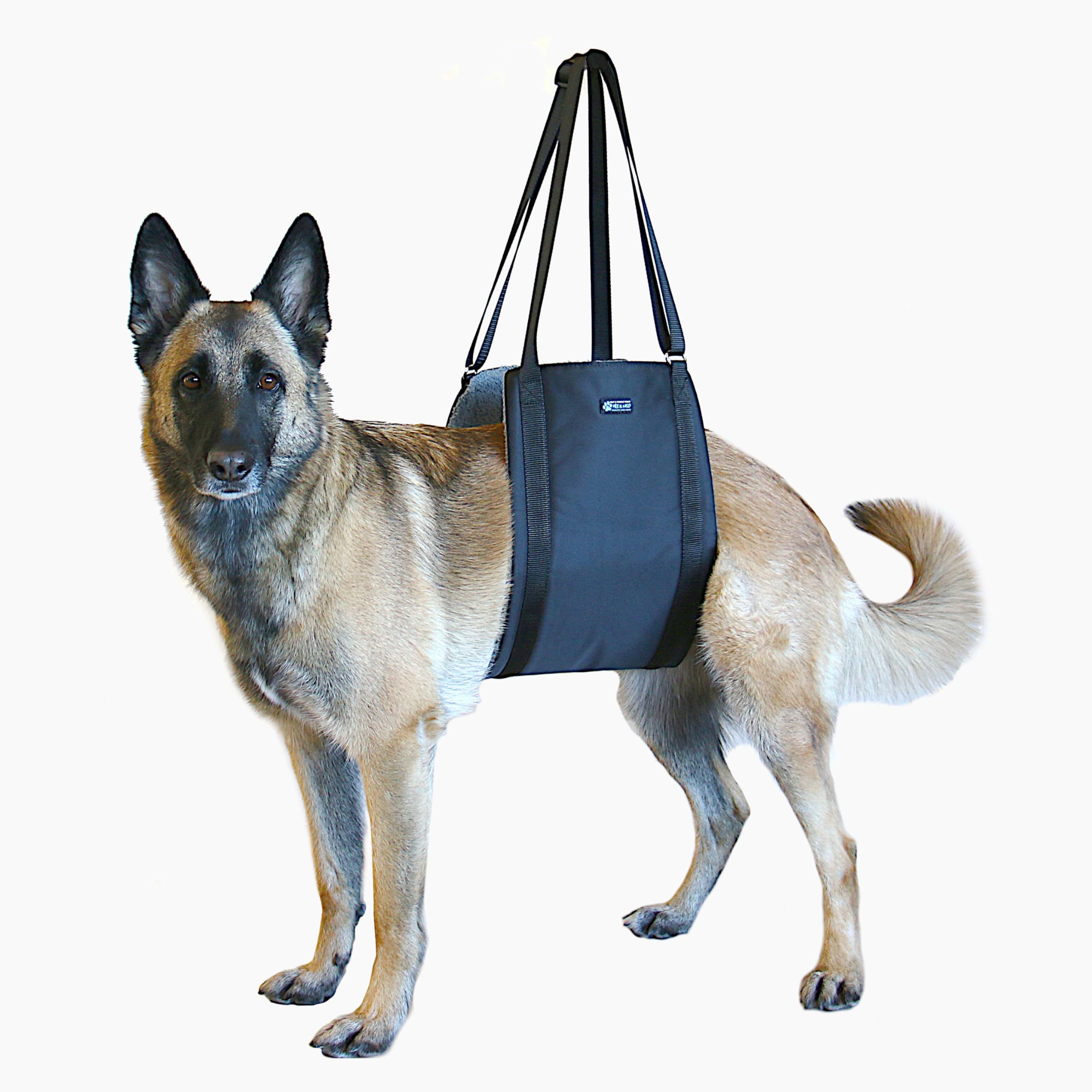 Max and Neo Dog Lift Support and Rehab Harness for Dogs with Weak Rear Legs - We Donate a Harness to a Dog Rescue for Every Harness Sold (Medium, Black)