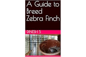A Guide to Breed Zebra Finch