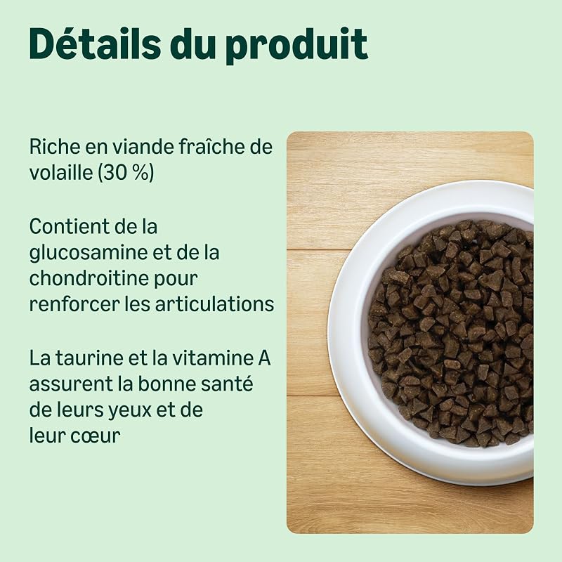 Nourriture complète pour Chat avec Recette sans céréales pour Chaton au Poulet Frais 3 kg