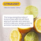 ATTITUDE Window & Mirror Cleaner EWG Verified 800 mL Citrus Scent view 5