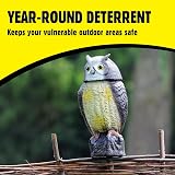The Big Cheese Wind Action Owl Decoy Deterrent with Rotating Head view 3