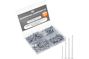Mr. Pen- Nail Assortment Kit, 600 Pcs, 4 Sizes, Silver, Small Nails for Hanging Pictures, Finishing Nails